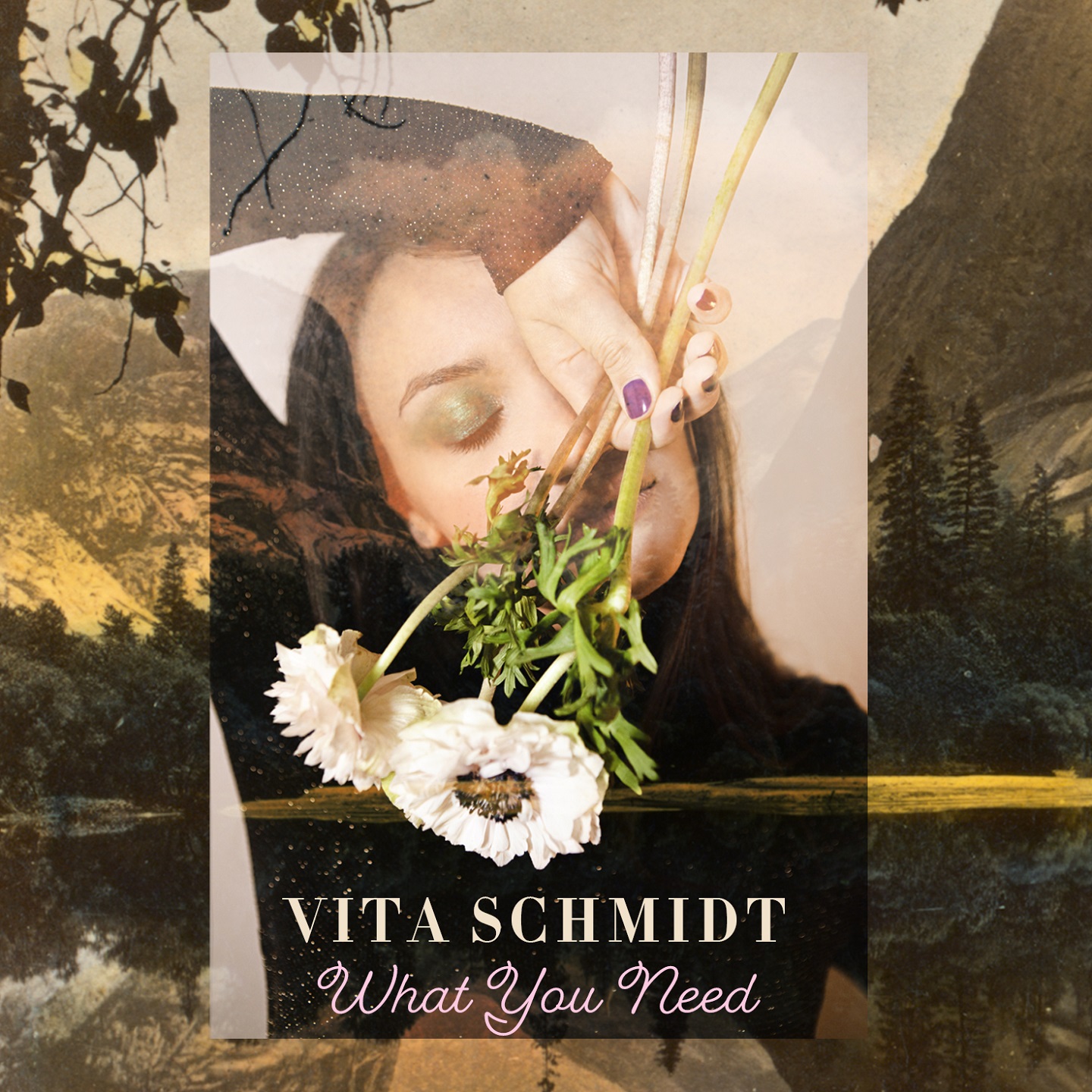 What You Need - Vita Schmidt